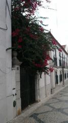 Cascais