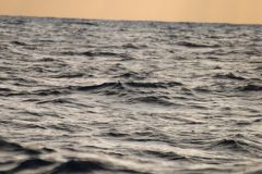 DSC_0094.JPG